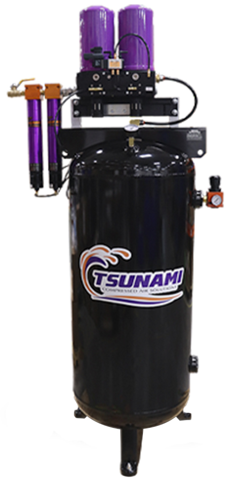 Regenerative desiccant online dryer